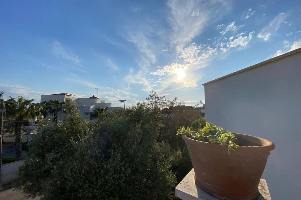 Villa Fiorella Porto Cesareo Primo Piano 2 Locali Exterior photo